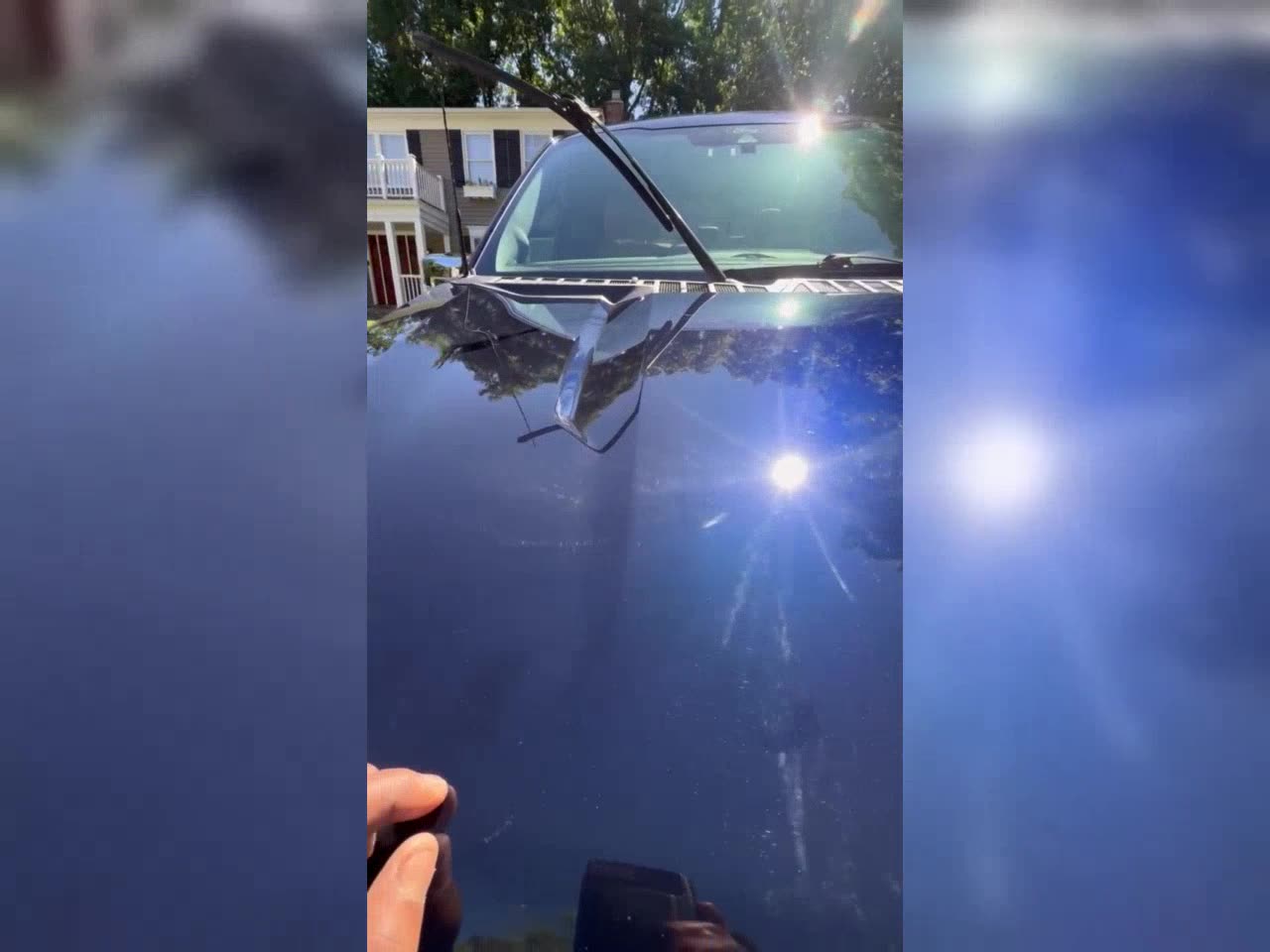 Paint reflections sharp enough to mirror the trees overhead after a full exterior detail and gloss finish.